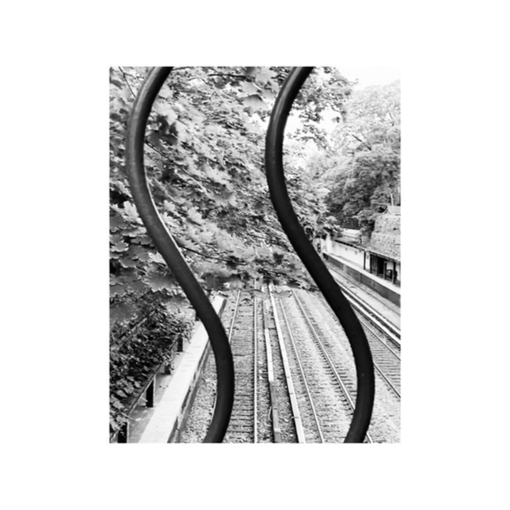 Professional Photography Print